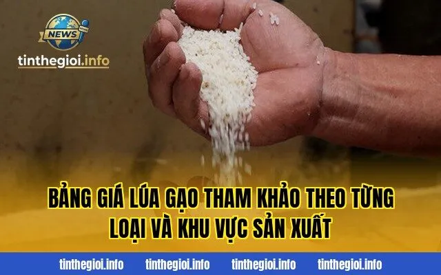 Bảng giá lúa gạo tham khảo theo từng loại và khu vực sản xuất