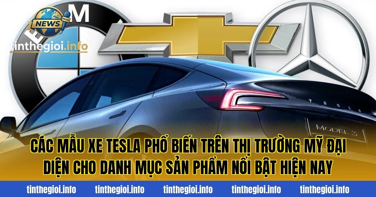 Các mẫu xe Tesla phổ biến trên thị trường Mỹ đại diện cho danh mục sản phẩm nổi bật hiện nay